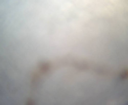 Přístaviště Petrov