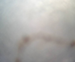 Přístaviště Petrov