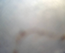 Přístaviště Petrov