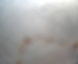 Přístaviště Petrov