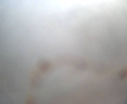 Přístaviště Petrov