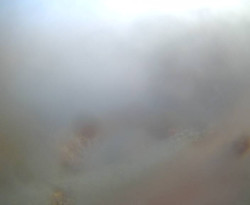 Přístaviště Petrov