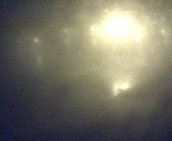 Přístaviště Petrov