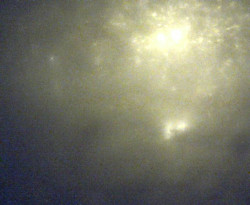 Přístaviště Petrov