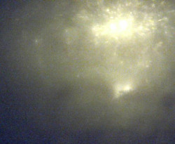 Přístaviště Petrov