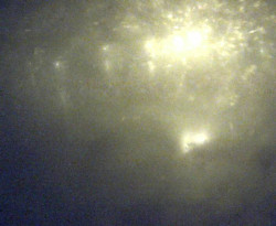 Přístaviště Petrov