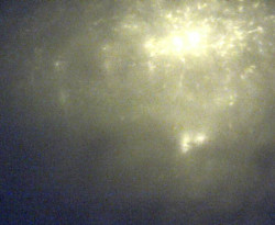 Přístaviště Petrov