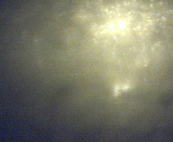 Přístaviště Petrov