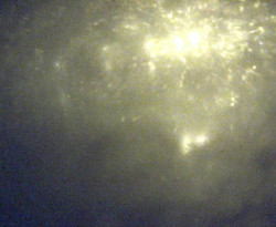 Přístaviště Petrov