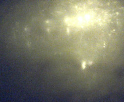 Přístaviště Petrov