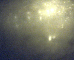 Přístaviště Petrov