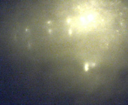 Přístaviště Petrov