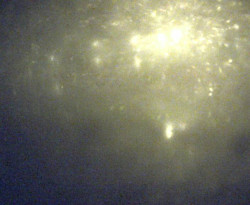 Přístaviště Petrov