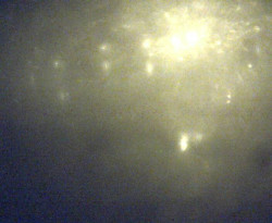 Přístaviště Petrov