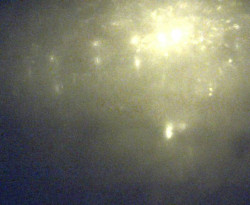 Přístaviště Petrov