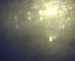 Přístaviště Petrov