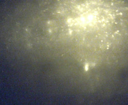 Přístaviště Petrov