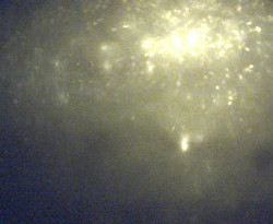 Přístaviště Petrov