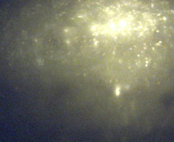 Přístaviště Petrov