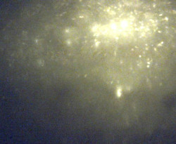 Přístaviště Petrov