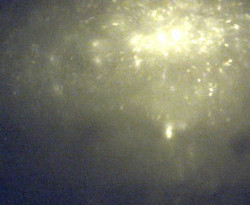 Přístaviště Petrov