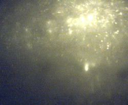 Přístaviště Petrov