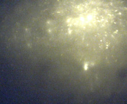 Přístaviště Petrov