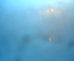 Přístaviště Petrov