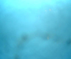 Přístaviště Petrov