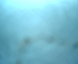 Přístaviště Petrov