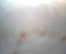 Přístaviště Petrov