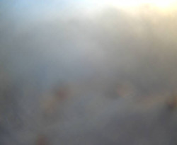 Přístaviště Petrov