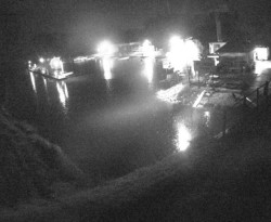 Přístaviště Petrov