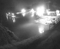 Přístaviště Petrov