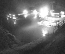 Přístaviště Petrov