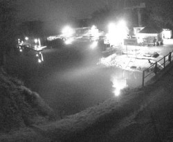 Přístaviště Petrov