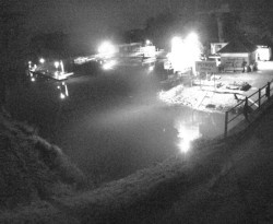 Přístaviště Petrov