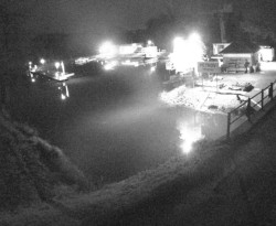 Přístaviště Petrov