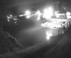 Přístaviště Petrov