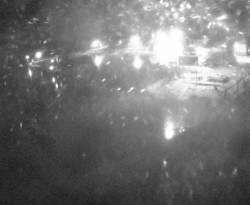 Přístaviště Petrov