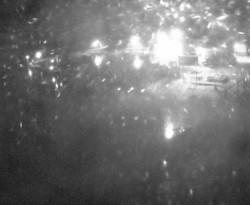 Přístaviště Petrov