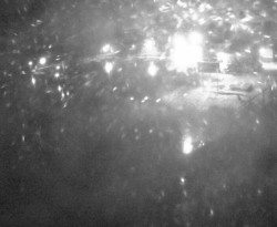 Přístaviště Petrov