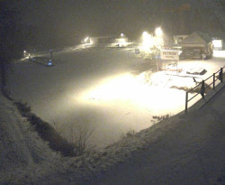 Přístaviště Petrov