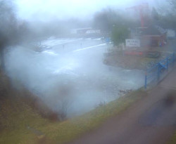 Přístaviště Petrov