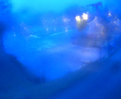 Přístaviště Petrov