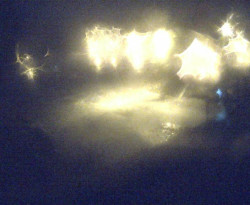 Přístaviště Petrov