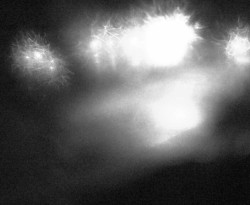 Přístaviště Petrov