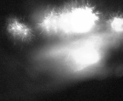 Přístaviště Petrov