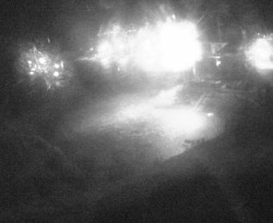 Přístaviště Petrov