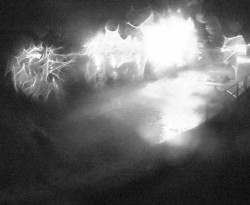 Přístaviště Petrov